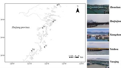 Comparative analysis of bacterial communities in the sediment and seawater environments from marine large yellow croaker cages (Zhejiang coast, China)